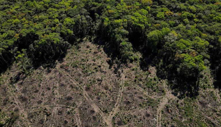 Vista aérea del bosque del Amazonas en Manaus. Foto: Reuters