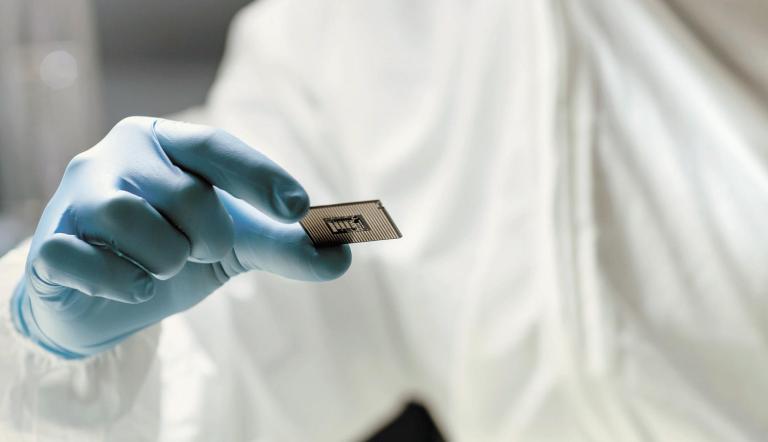 Semiconductores. Foto: Shutterstock.