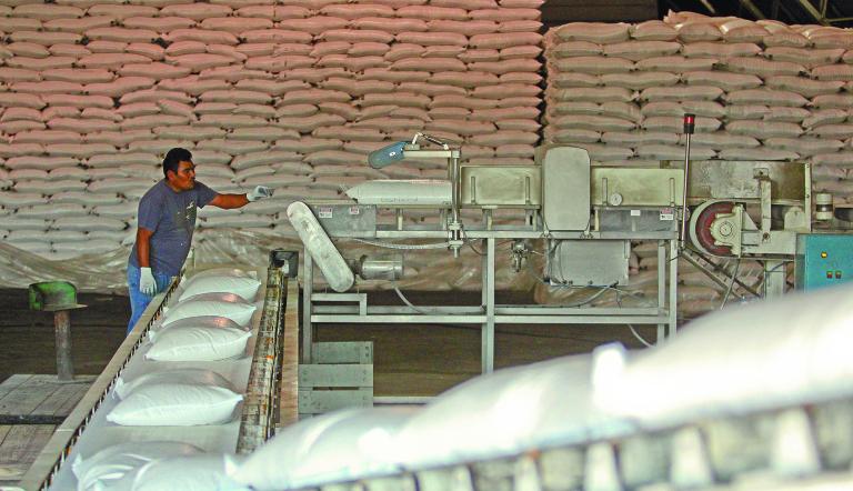 ZACATEPEC, MORELOS., 25ENERO2013.- Debido a que las bodegas del Ingenio azucarero ‚ÄúEmiliano Zapata‚Ä˘ de Zacatepec, se encuentran a su m√°xima capacidad, trasladaron toneladas de costales de az√∫car a la Cancha Morelos perteneciente al Ingenio. Ca√±eros morelenses mantienen guardias a las afueras de las bodegas del Ingenio ante la falta de respuesta de las autoridades para estabilizar el precio del az√∫car. 
FOTO: SA√ˆL L√ìPEZ / CUARTOSCURO.COM