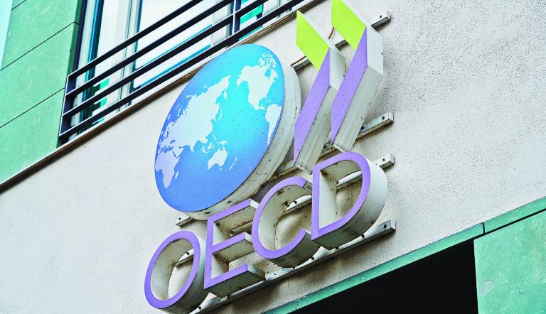 La organización explica que para financiar las agendas de desarrollo será necesario fortalecer aún más la recaudación y el gasto tributario.