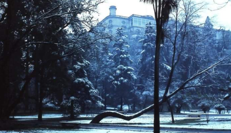 Foto: @ChapultepecCDMX