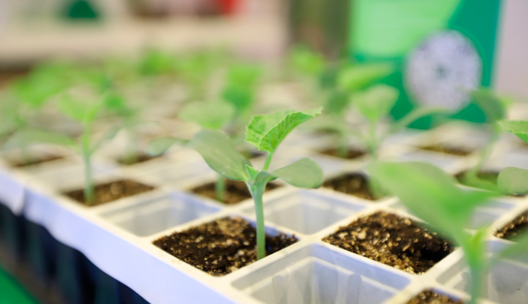 Innovaciones en la industria de la horticultura en México y América.