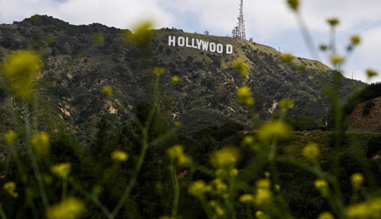 Spring flowers stand on a hillside around Lake Hollywood Park beneath the Hollywood sign in Hollywood, California, on May 12, 2025. (Photo by Patrick T. Fallon / AFP)