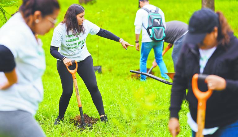 Colaboradores de IKEA participan en jornadas de limpieza en el Bosque de Aragón, impulsando el voluntariado corporativo mientras, en la tienda de Oceanía, la tecnología apoya la gestión sustentable con paneles solares y biodigestores.