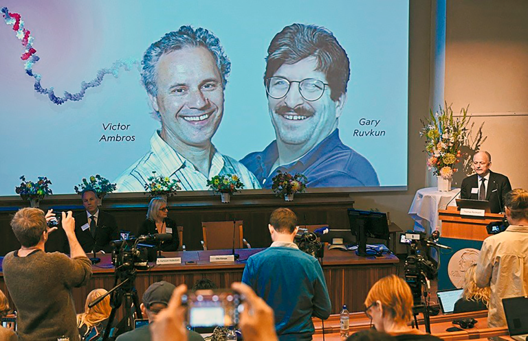 Victor Ambros y Gary Ruvkun fueron anunciados este lunes en Estocolmo como ganadores del Premio Nobel de Fisiología y Medicina 2024.