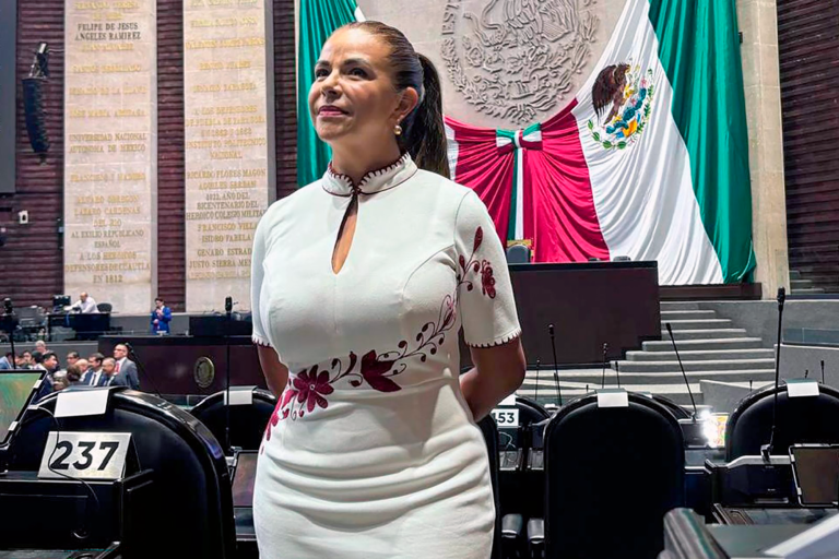 Diputada Alma Lidia de la Vega.
