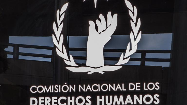 CNDH reitera, interpondrá acción de inconstitucionalidad vs Ley de Seguridad