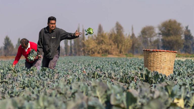 Foto: Tomada del estudio de desigualdad en México producido Oxfam.