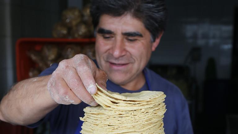 TORTILLAS . FOTO :HUGO SALAZAR / EL ECONOMISTA .