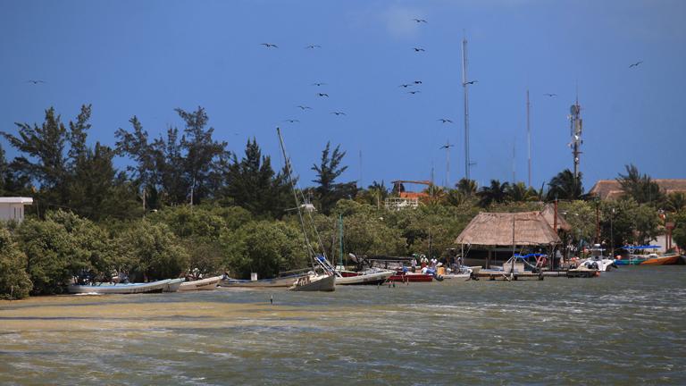 Holbox - ISLA HOLBOX QUINTANA ROO . FOTO : HUGO SALAZAR / EL ECONOMISTA.