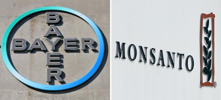 FILES-GERMANY-US-FARMING-CHEMICALS-BAYER-MONSANTO