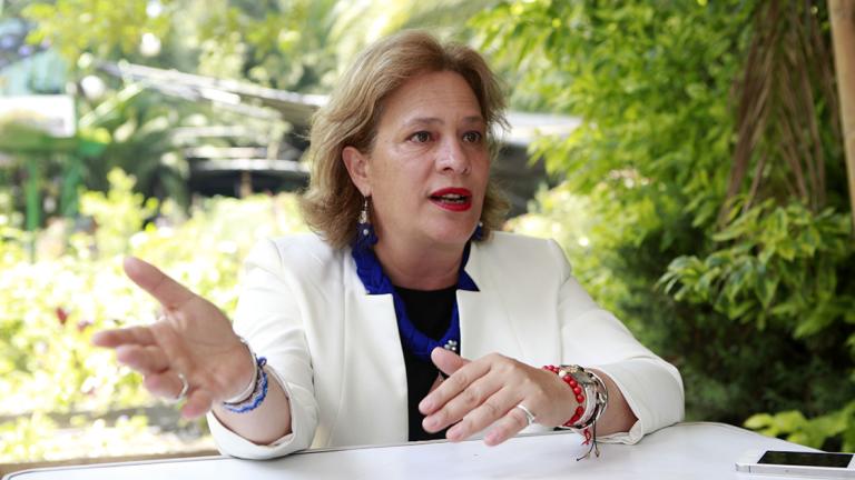 250618 JOSEFA GONZALEZ BLANCO, PROPUESTA  PARA LA SECRETARIA DE MEDIO AMBIENTE POR EL CANDIDATO ANDRES MANUEL LOPEZ OBRADOR DE LA COALICION JUNTOS HAREMOS HISTORIA. HUERTO URBANO ROMA VERDE, CDMX. FOTO: ADRIANA HERNANDEZ.