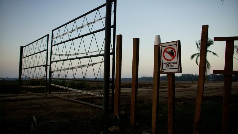 El presidente Andrés Manuel López Obrador informó que en marzo de 2019 arrancaría la licitación para construir la nueva refinería al lado del puerto de Dos Bocas, Tabasco. La construcción de la refinería podría ser un riesgo debido a la biodiversidad que alberga. La tierra es tan rica en vida silvestre que hace una década un grupo de funcionarios en Pemex propusieron que se declarara reserva privada por su importancia ambiental en la zona.