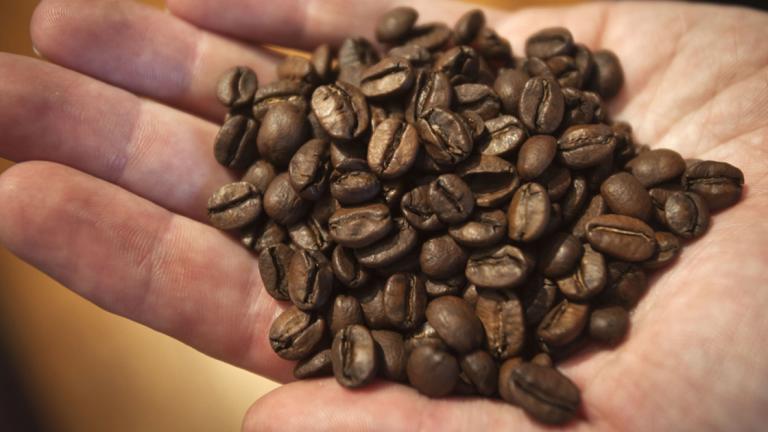 Irving Farm Coffee Roasters buyer Dan Streetman holds a handful of La Bendicion coffee beans in Manhattan - Dan Streetman, vice president of wholesale and coffee buyer for Irving Farm Coffee Roasters, holds a handful of La Bendicion coffee beans from Nicaragua at Irving Farm in the Manhattan borough of New York September 23, 2014. For the first time in three years, Streetman is buying coffee beans in bulk from Colombia, exploiting low comparative prices and reflecting new flexibility by U.S. roasters who had become over reliant on a single country for premium arabica. Streetman, the buyer for New York City-based specialty roaster and retailer Irving Farm Coffee Roasters, stopped ordering from the South American country in 2011 as disease devastated crops, supplies became erratic and prices soared. Instead he bought more from El Salvador, Guatemala and Honduras. Now, leaf rust fungus, known as roya, is threatening Central America