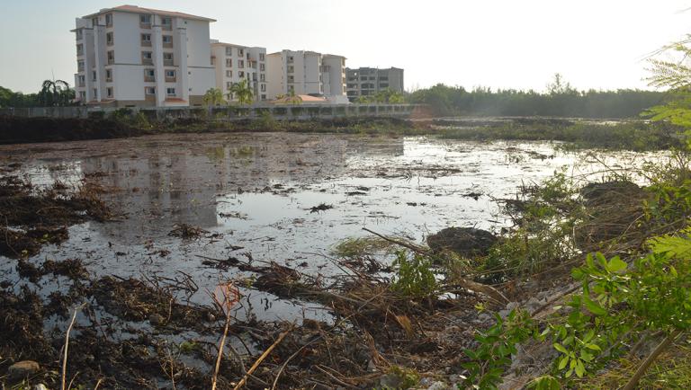 CANCUN, QUINTANA ROO, 30JULIO2015.- Habitantes de Cancún, en su mayoria mujeres, mantienen desde la mañana de este dia un cerco frente a las seis reservas de manglar en el Malecon Tajamar, cada una de entre 600 a mil 800 metros cuadrados, para impedir la entrada de la maquinaria que desde la madrugada del martes empezó a devastar esas areas donde inversionistas como Bi and D Reale Estate pretende construir torres de condominios.FOTO: ELIZABETH RUIZ /CUARTOSCURO.COM