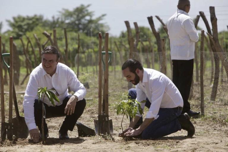 En comppañía del secretario mexicano de Relaciones Exteriores, el presidente salvadoreño, Nayib Bukele, enumeró que además del apoyo financiero de México se impulsará una inversión privada de 3,000 millones de dólares que estaba estancada. Foto: Twitter.com/m_ebrard.