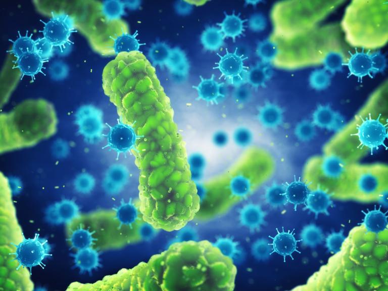 Reproducción. Hasta 5,000 millones de bacterias en16 horas. Foto: Shutterstock