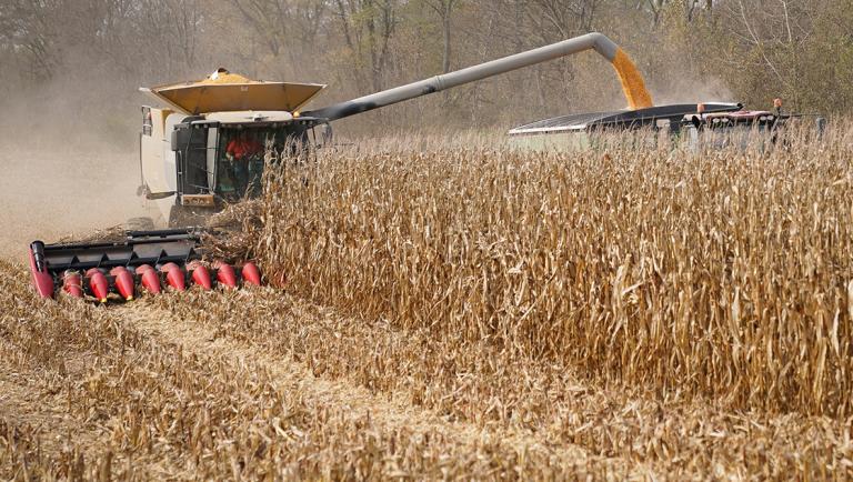 FILE PHOTO: Corn is harvested from a field on Hodgen Farm in Roachdale