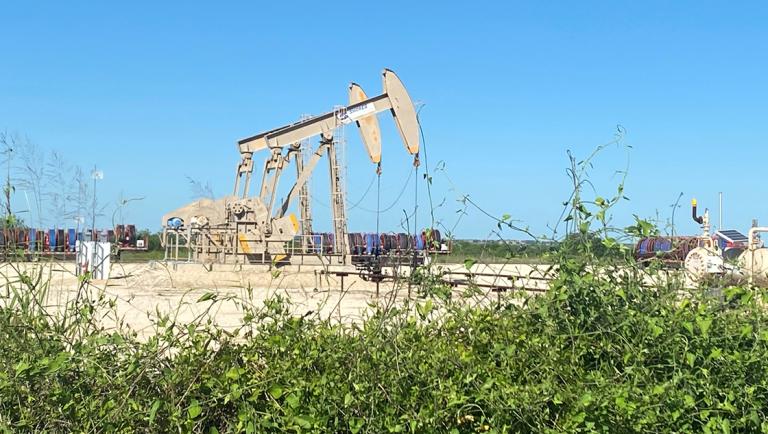 Oil pumps are seen, as oil and gas activity dips in the Eagle Ford Shale oil field due to the coronavirus disease (COVID-19) pandemic and the drop in demand for oil globally, in Karnes County, Texas, U.S., May 18, 2020. Picture taken May 18, 2020.  REUTERS/Jennifer Hiller