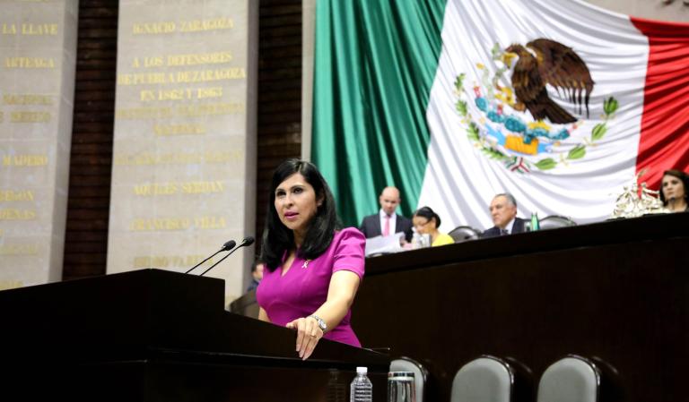 Carolina García Aguilar, Secretaria en la Comisión de Economía Social y Fomento del Cooperativismo de la Cámara de Diputada.