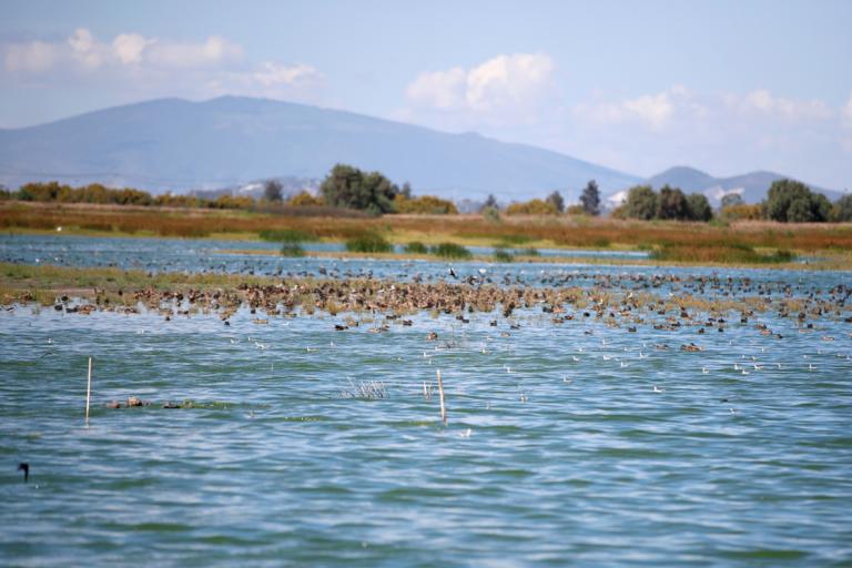 El lago de Texcoco. Foto Reuters.