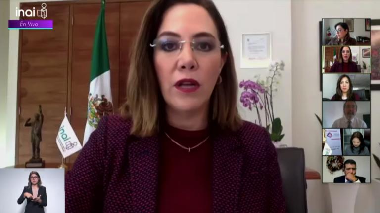 Blanca Lilia Ibarra Cadena, comisionada presidenta de Inai, durante la sesión del pleno de este martes 22 de diciembre.