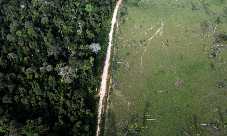 Amazonía brasileña. Foto: Reuters