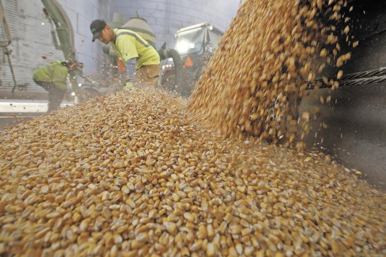 FILE PHOTO: Workers empty corn kernels from a grain bin at DeLong Company in Minooka