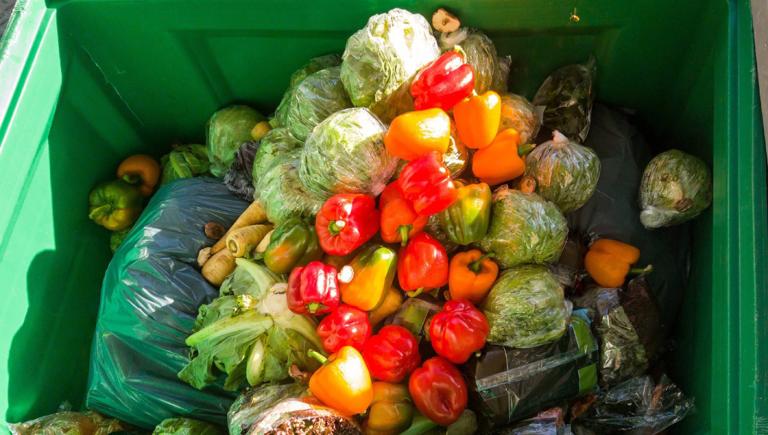 Desde su lanzamiento en septiembre del 2020 se han recuperado cerca de 20,000 y 25,000 kilos de comida. Foto EE: Archivo