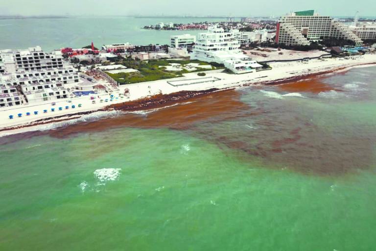 Se puso en marcha desde el pasado 12 de mayo el nuevo Sistema de Monitoreo de Sargazo Recolectado. Foto: Especial