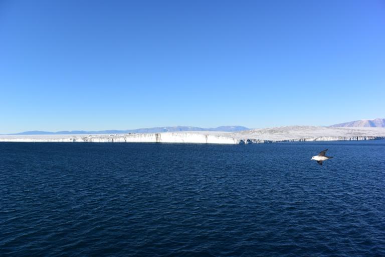 Glaciar Nioghalvfjerdsbrae, en Groenlandia. Pablo Lodeiro, Author provided