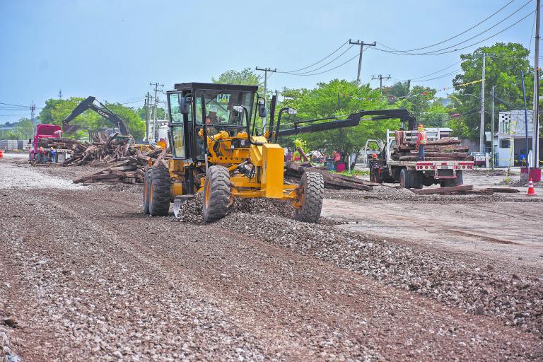 Para el avance del tramo 5, del que se tiene un reporte del 50% completado, fue necesaria la reubicación y transplante de poco más de 10 mil árboles. Fotos: Cuartoscuro.