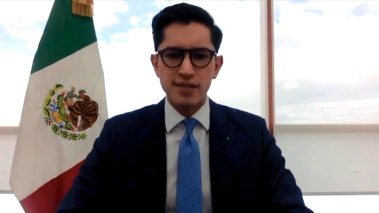 Roberto Velasco, jefe de la Unidad para América del Norte de la SRE. Foto EE: Especial / Captura de Video