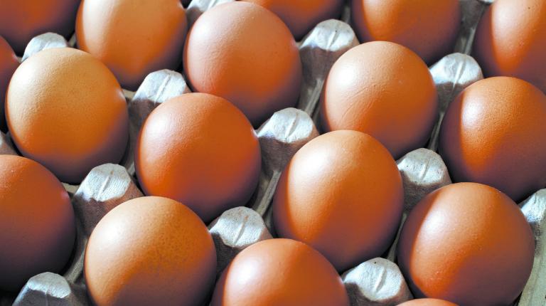 Raw,Fresh,Egg,In,Carton,Container,Closeup.,Low,Shallow,Focus