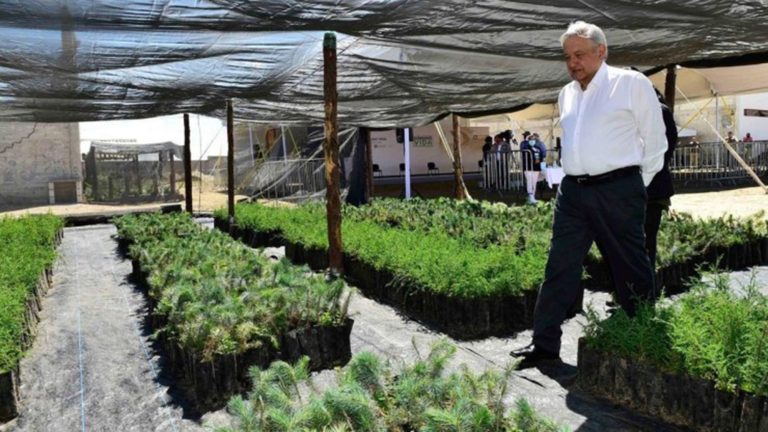 Andrés Manuel López Obrador, presidente de México. Foto EE: Especial