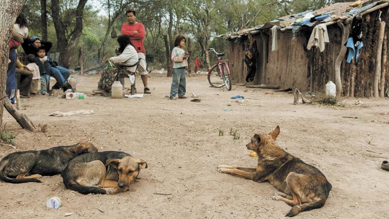 Provincia de Chaco, Argentina. Foto: Shutterstock