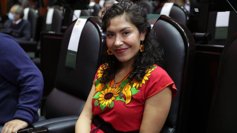 Celeste Sánchez Romero, diputada federal del Partido del Trabajo. Foto EE: Cortesía / Twitter @DiputadosPTmx