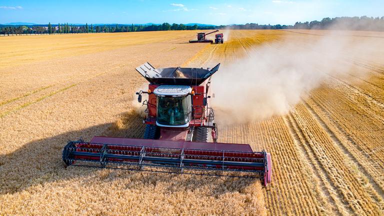 Seis días después del inicio de la invasión rusa a Ucrania, conocida como el granero de Europa, los valores de estos alimentos se dispararon