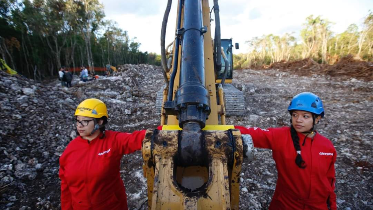 Fotos: Greenpeace.