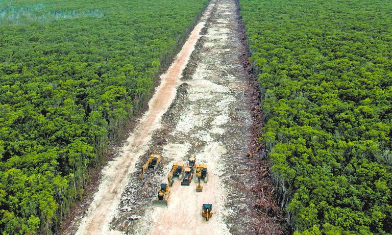 El juez tendrá que determinar si la Manifestación de Impacto Ambiental (MIA) presentada por Fonatur es prueba suficiente para anular 