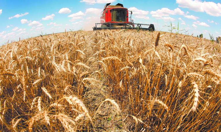 FILE PHOTO: A reaper harvests a field of wheat in Orezu, southeastern Romania, July 2, 2014. REUTERS/Bogdan Cristel/File Photo-NARCH/NARCH30