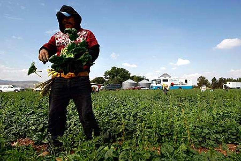 Pese a la cantidad de recursos que envían a México, los migrantes no son atendidos por instituciones financieras formales. Foto: AFP.