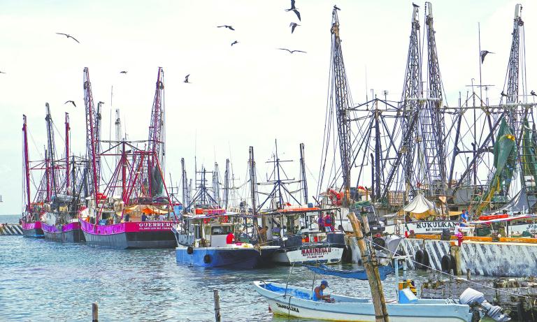 Empleados tur�sticos resguardan sus embarcaciones ante la inminente entrada del hurac�n Ian en las costas de Quintana Roo.