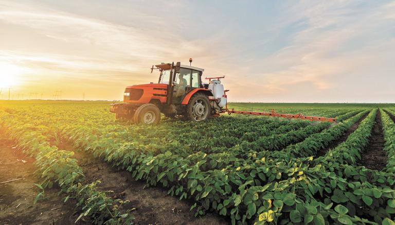 Dentro de los programas que tuvieron un aumento significativo para el 2023 se encuentran: fertilizantes y producción para el bienestar. Foto: Shutterstock