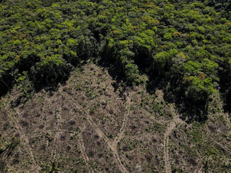 Vista aérea del bosque del Amazonas en Manaus. Foto: Reuters