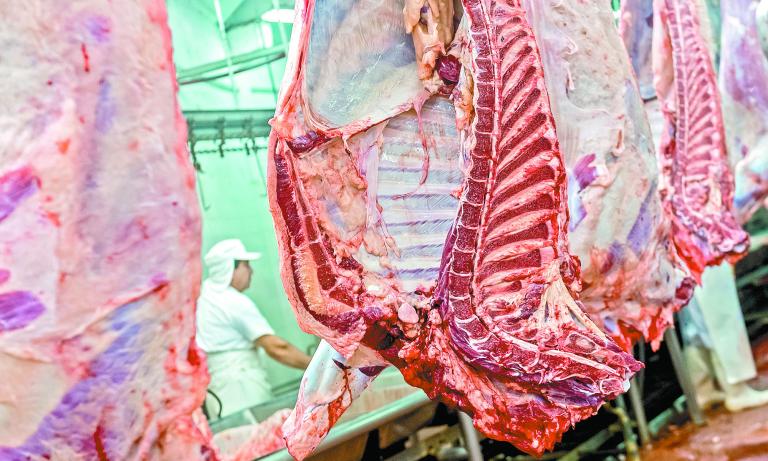 Beef,Meat,Production,,Slaughter,Of,Cows.,Slaughterhouse,Cows,In,Buenos