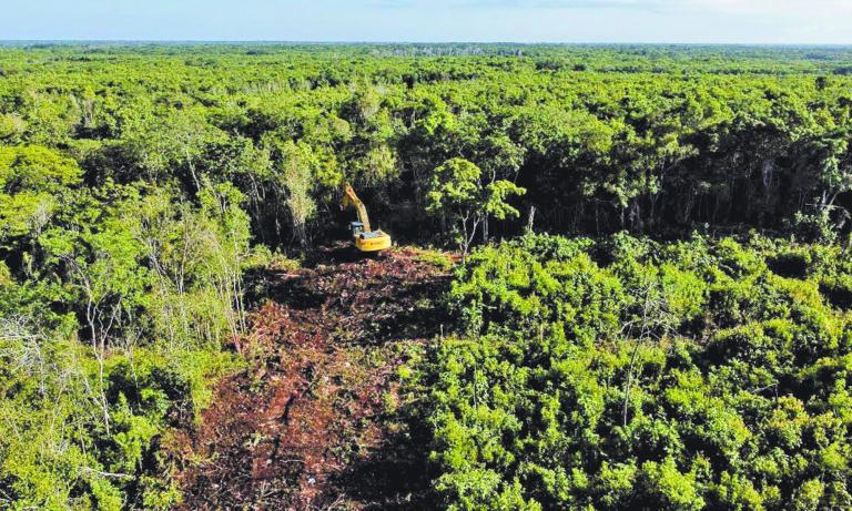 FELIPE CARRILLO PUERTO, QUINTANA ROO, 01OCTBRE2022.- Tramo 6 se encuentra ubicada selva adentro a la entrada de la Comunidad X-Hazil, 20 kilÛmetros al sur de Felipe Carrillo Puerto.  En este punto, la maquinaria ya est· abriendo camino entre la selva en un recorrido de unos 200 kilÛmetros de Tulum a Chetumal, atravesando la Zona Maya de Quintana Roo. Sin embargo, las m·quinas no han podido avanzar debido a que los propietarios de los predios por donde va a pasar la vÌa fÈrrea a˙n est·n en proceso de liquidaciÛn.FOTO: ELIZABETH RUIZ/CUARTOSCURO.COM