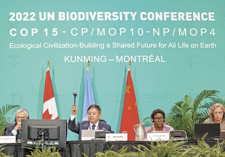 Huan Runqiu, ministro chino de Ecología y Medio Ambiente y presidente de la COP15 declaró aprobado el acuerdo. Foto: Reuters