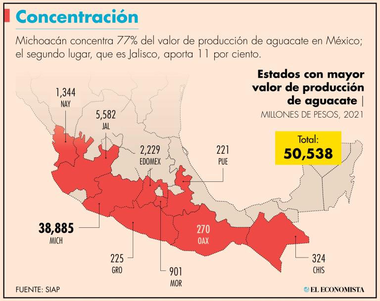 El cultivo y comercialización de aguacate tiene gran relevancia para la economía estatal