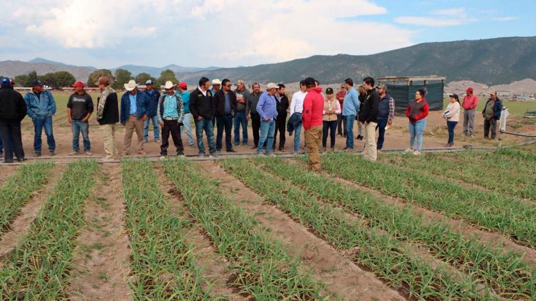 Productores de ajo en Arramberri se reunieron con autoridades de Nuevo León. Foto EE: Cortesía